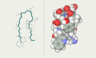 protein folding literature review