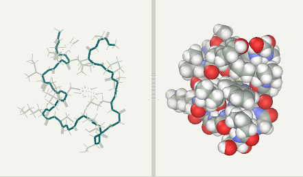 Trp-Cage folding proteins after 4ns