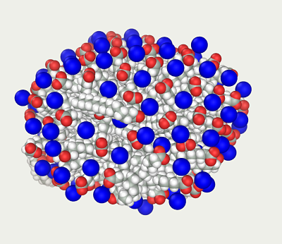 second micelle MD