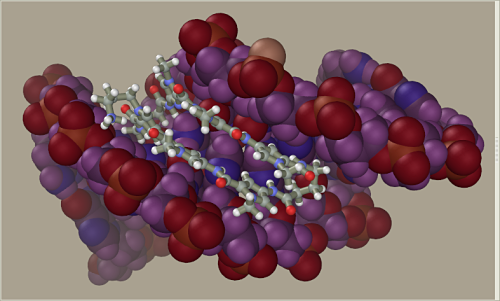 molecular modeling software